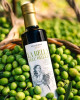 La Bella - nejlepší olivový olej Itálie 2019